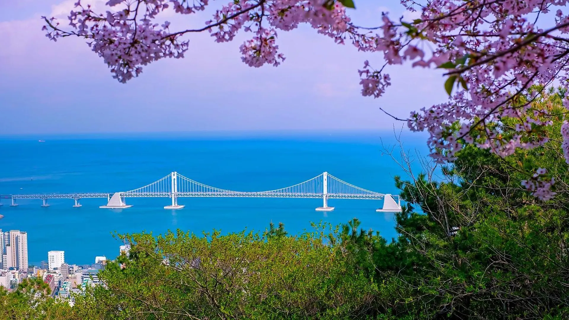 Kent Hotel Gwangalli By Kensington Ciudad Metropolitana de Ciudad Metropolitana de Busan