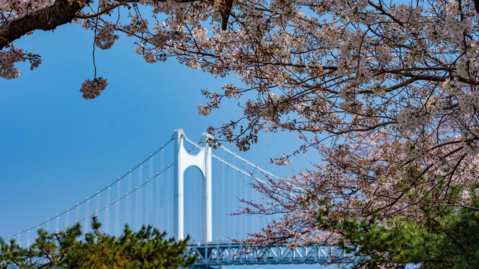 Kent Hotel Gwangalli By Kensington Busan